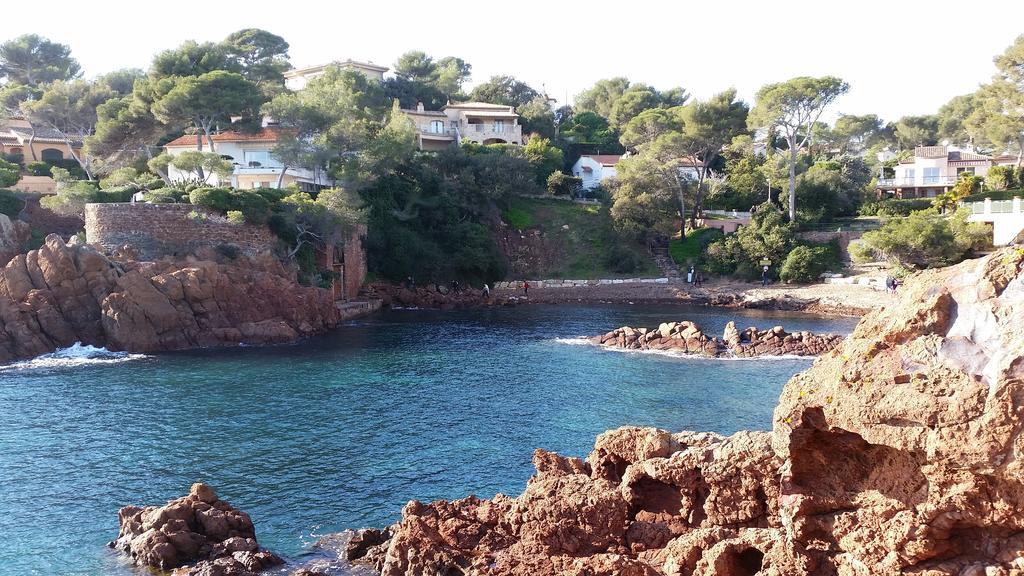 Un Petit Coin De Paradis Taradeau Exteriör bild