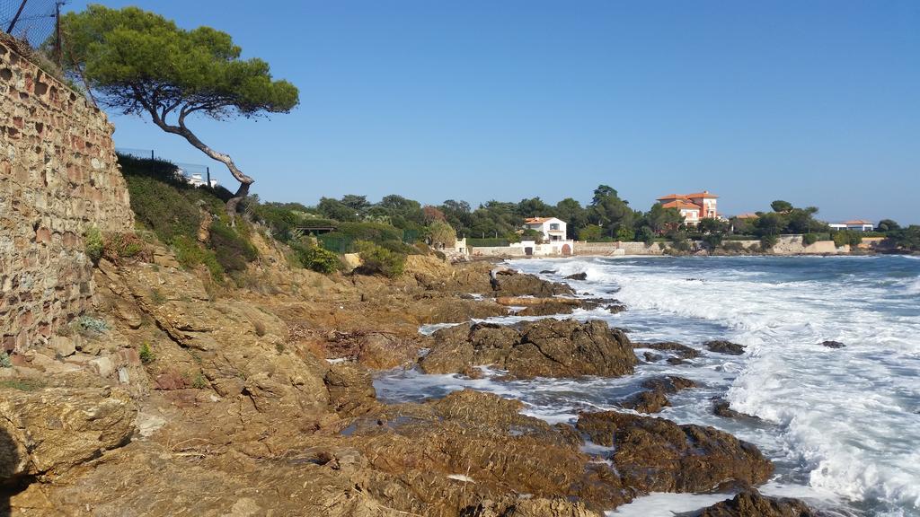 Un Petit Coin De Paradis Taradeau Exteriör bild